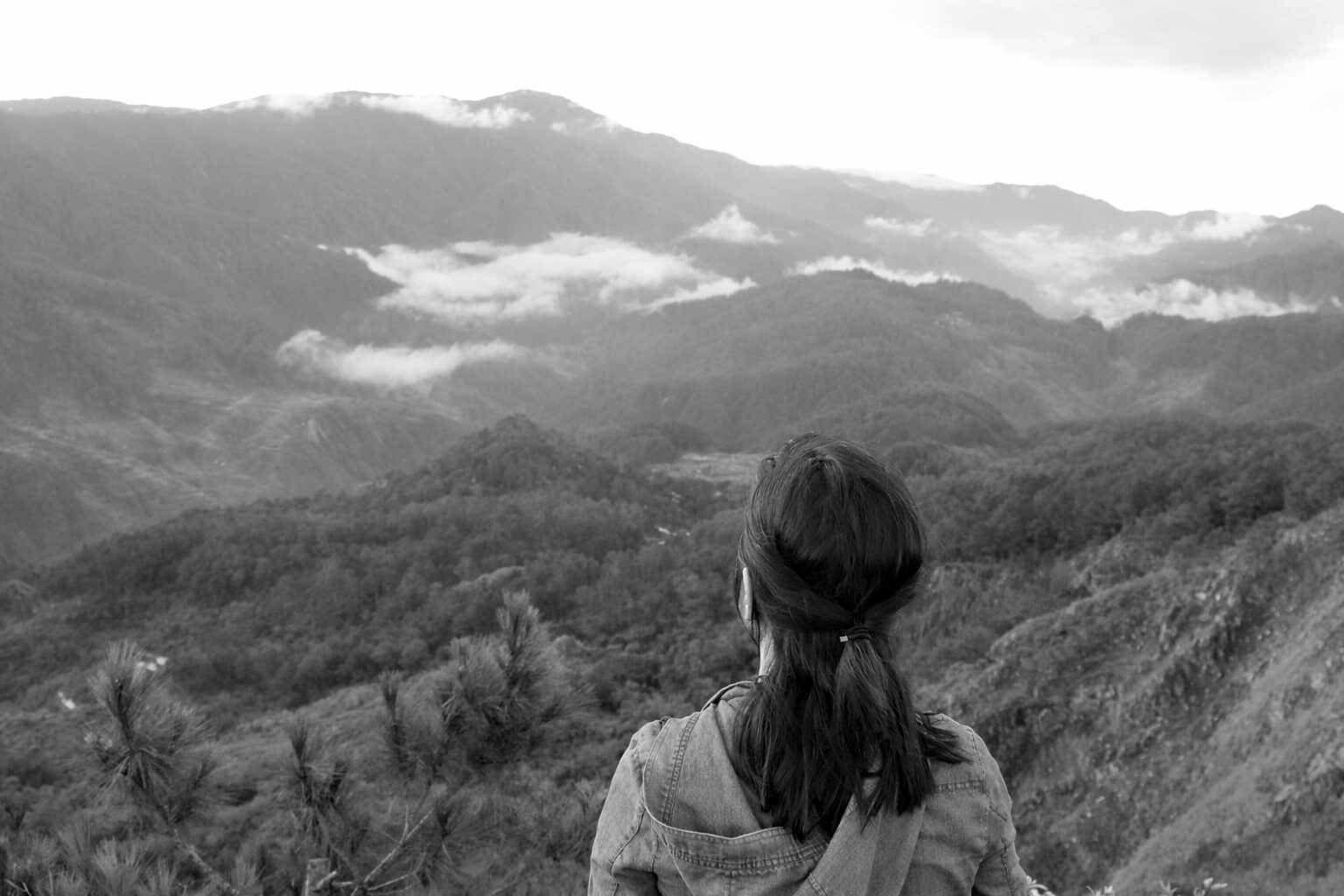 Gazing at misty mountains